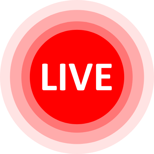 Paypig Website